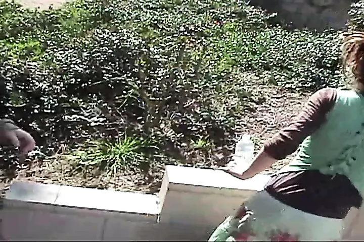 sex video bibo