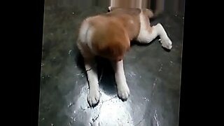 ngentot di kamar mandi sama cewek cantik