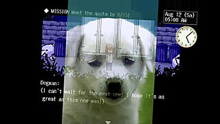 is this a seth porn web cams