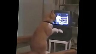 kaitna kif xnxx videocom