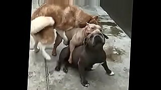 un amigo se cogio a mi novia y a ella le encanto