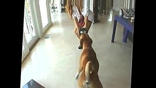 femdom pov strapon ass