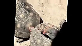loveria sexy video old