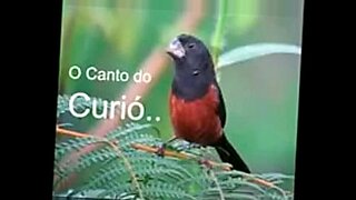 baby 3xx video com