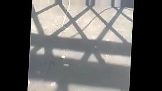 lisa ann in cat