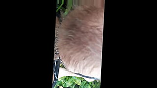 videos de sexo incesto masaje porno
