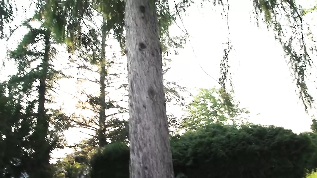 mature makes pussy cum