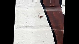 dubbed hindi audio blackmail sunne leone fuck xxxvideo