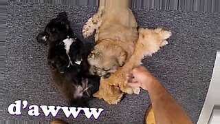 hot floozy gets naked and starts enjoying the sex