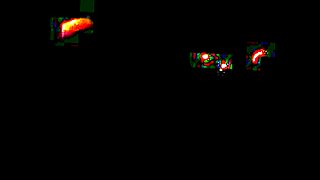 exchange student nicole ray