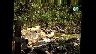 school students fuck thristy download video