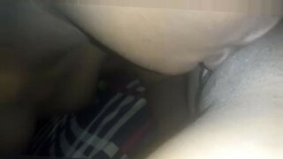 বলদশ একস ভডও