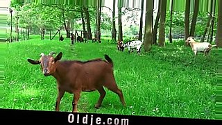 dad makes step daughter sit on his laps