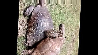 sunny leone and girl friends have a pussy eating party2