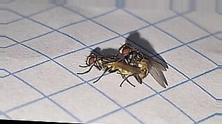 a big anal boy and a girl fucking