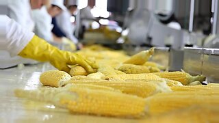 mujeres se orinan de dolor