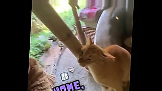 phim sex me ke dam dang vu to let lut voi con c