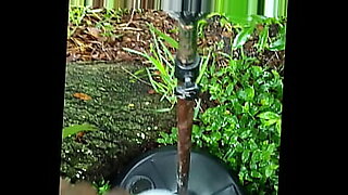 2 black ladies pussy kissing buzzer xnxx