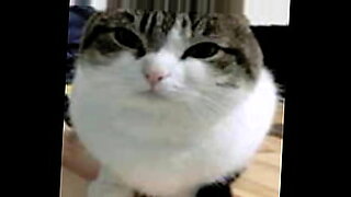xnxx seks