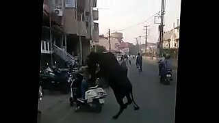 png manus koap videos