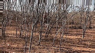 mother and his daughters combined with son and father of xxxx videos fast download