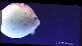 midget can get enough cock midget dwarf cumshots swallow