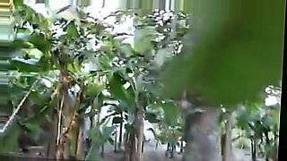 a tree grows in german