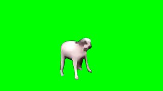 sany lion daniyl