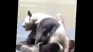 gangbang and dp compilation by evilone99