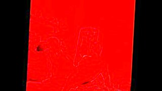 nigro 1