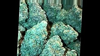 a all girl chicago video
