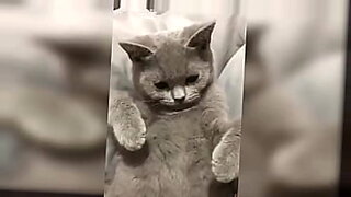 xxx santali b f video