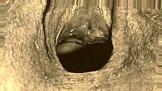 cattube hd xxx