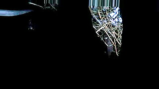 losing virginity real mirella csikis streaming porn videos watch and mpornozavrnet losing virginity real