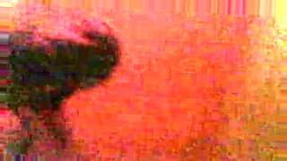 xnxx new yang grl