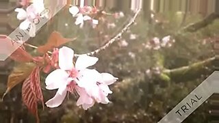 loveria sexy video old