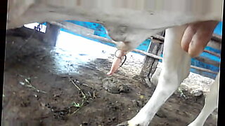 xxxx oli bud mp4 full