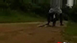 mar pit saxy video hd