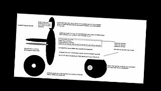 llora cuando le hacen la cola