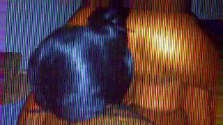 how can made xxx video in u s a