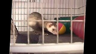 little boy fuck with his sister