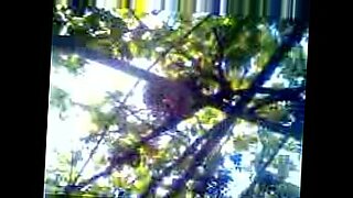 hooliwod actoor ken wes letxxx com