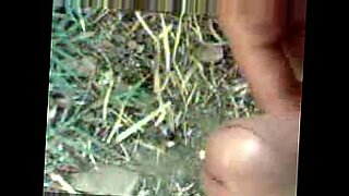 indian lily all vedio