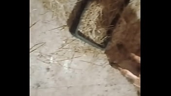 hidden camera inside toilet