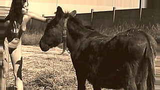 horse women sexvedeos