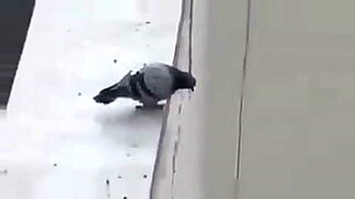 leah gotti cheating anal