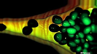 porn 3d animation tube