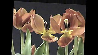 png porn video clips 201