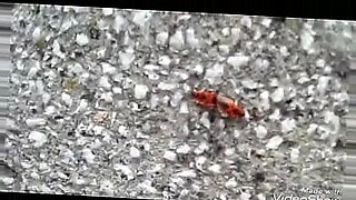 wife slut gangbanged in snooker hall snake