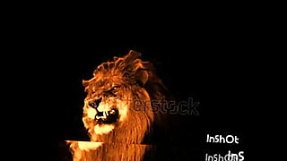 Kpk-afg